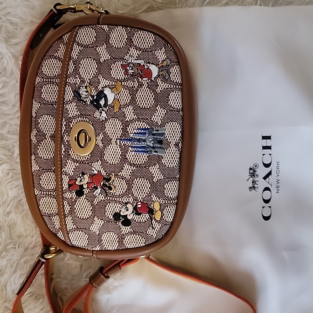 Disney X Coach Mickey Mouse & Friends
